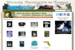 Fish & Wildlife Foundation of Florida Store